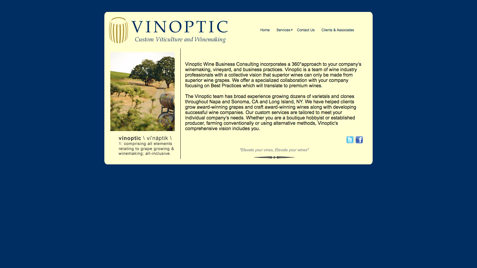 Vinoptic's Old Website